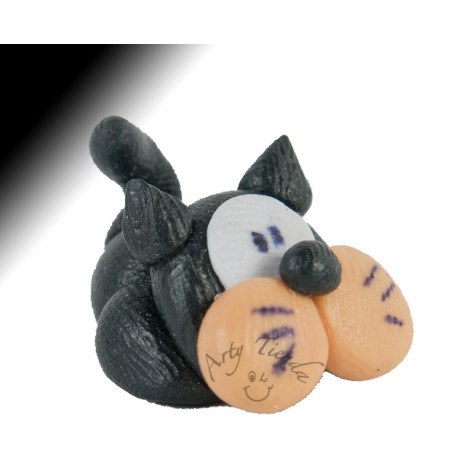 Gato en porcelanicron