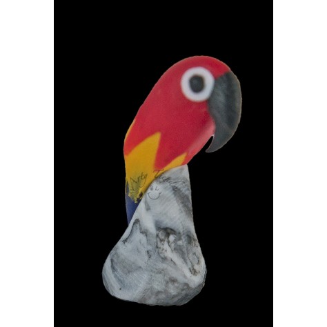 Guacamaya en porcelanicron