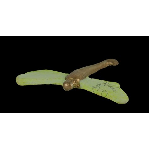 Libélula en porcelanicron