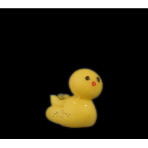 Pollito en porcelanicron