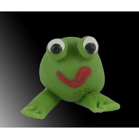 Sapo en porcelanicron
