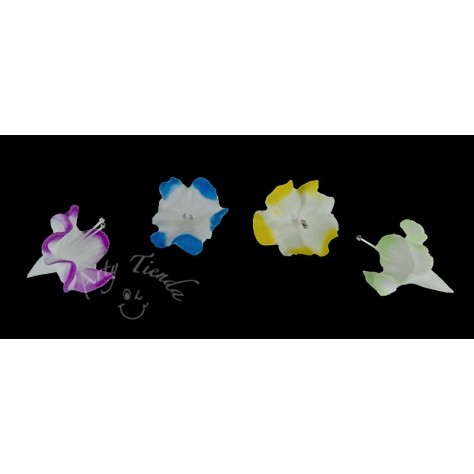 Flores blanca punta color en porcelanicron