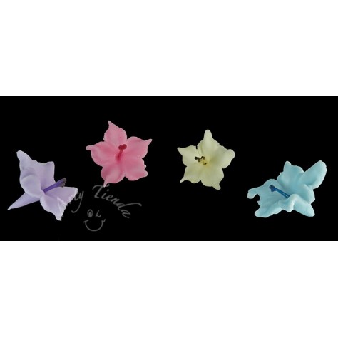 Flores pístilo en porcelanicron
