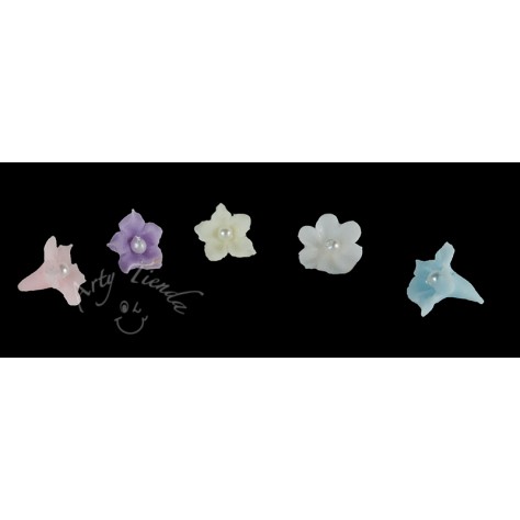 Flores miosotis diversos colores en porcelanicron