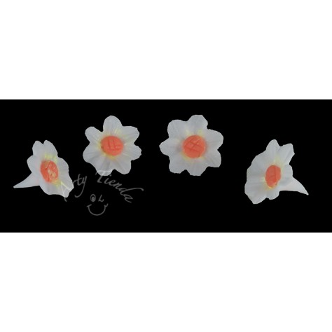 Flores margarita en porcelanicron