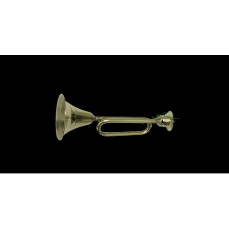 Bronce corneta 1