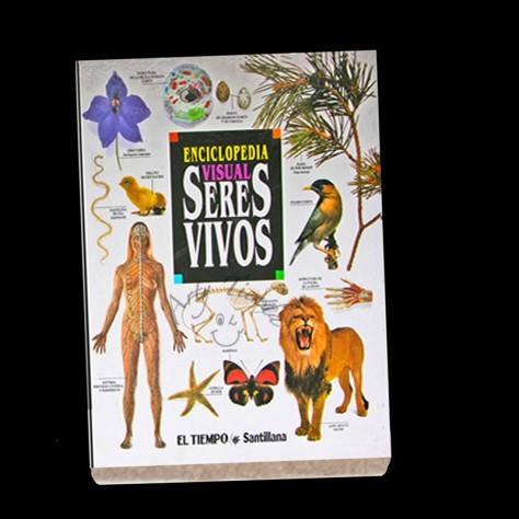 Libro miniatura en papel