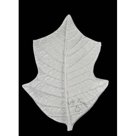 Inyector hoja ponsetia