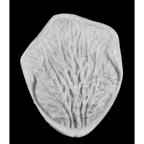 Inyector hoja gladiolo