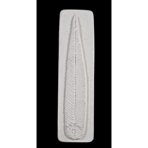 Inyector pluma